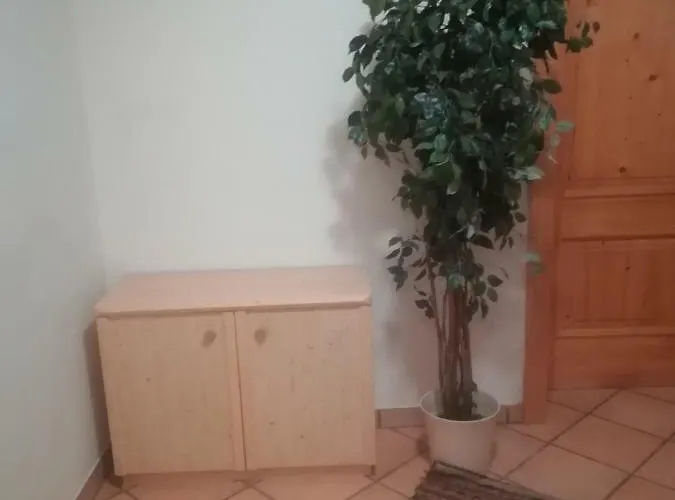Eva Apartman *